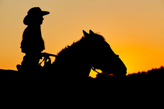 Silhouette of Cowboy, ride on Arabian horse stallion in colorful sunset.