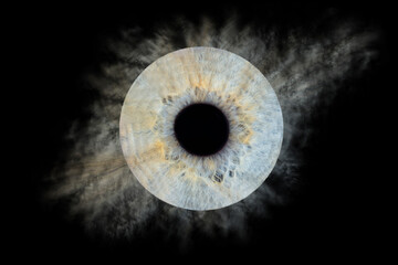 IRIS
