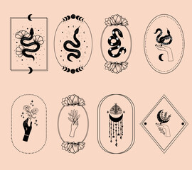 Set of mystical illustrations, witchy hands, floral moon, snakes and mystical flowers, witchcraft symbol, witchy esoteric objects - 641853640
