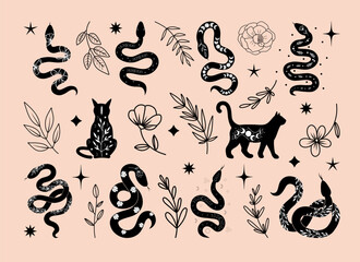 Set of mystical celestial black cats and snakes, flowers and branches, vector floral and fauna illustration, mystical floral elements and animals - 641853641