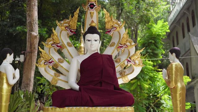 snake dead budaro in Wat Ruese Pa Saeng Tham temple on Koh Phangan island, thailand