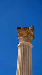  Column with a capital in the temple to Jupiter in the Roman ruins at Oudna, outside of Tunis, Tunisia
