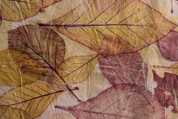 Leaves eco print fabric convey the colors from nature to the beauty on fabric.