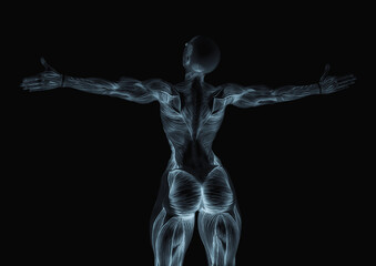 Obraz premium female bodybuilder is showing the muscles with the arms wide open white background rear view