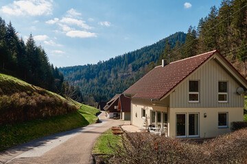 Fototapeta na wymiar Mountain cottage in the Alps. Panoramic view of beautiful mountain landscape in the Bad Rippoldsau-Schapbach in the Black Forest, area near Burgbach Wasserfall, Baden-Wurttemberg, southern Germany.