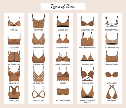 Types of bras. Big vector set of lingerie.