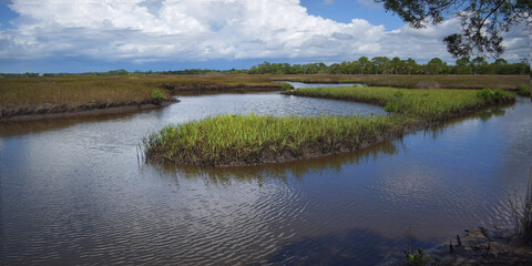 Florida Crystal River, Cedar Key