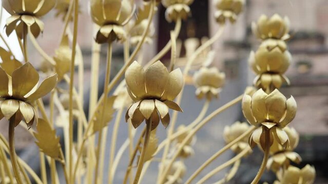 golden flowers at wat chedi luang temple in chiang mai