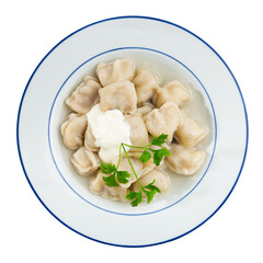 Delicious meat dumplings in broth, served with sour cream and decorated with fresh greenery. Isolated over white background