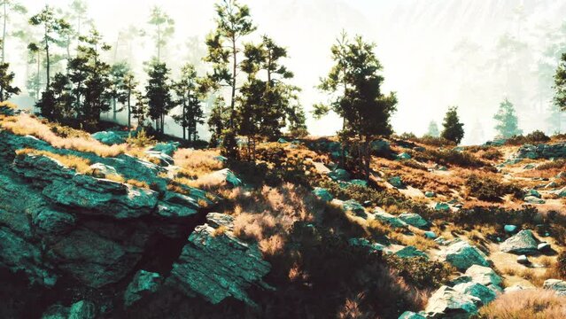 Naked cliffs host a thriving forest of towering pines