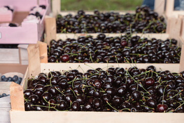 wooden boxes full of ripe red cherries. A lot of cherries, a pattern of cherries. Farmer's market...