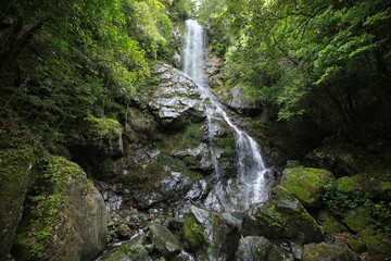 Obraz premium 愛媛県松野町 天ヶ滝