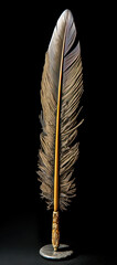 Gold Feather Quill Pen on Black Background