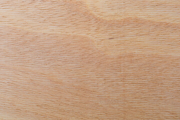 Light rough textured cut surface of an African tree. Wood background or blank for design