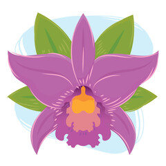 Isolated colored natural tropical flower Vector