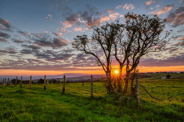 Sunrise from Mellor, Blackburn, Lancashire with the Lonely Tree in the foreground beaming a...