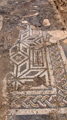 Tile mosaic floor in the Roman ruins at Oudna, outside of Tunis, Tunisia