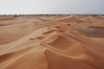 Paesaggio desertico con dune di sabbia arancione