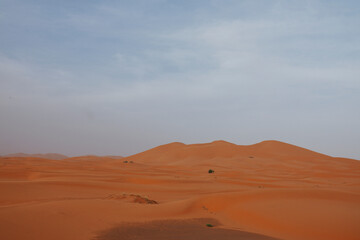 Fototapeta na wymiar Paesaggio desertico con dune di sabbia arancione