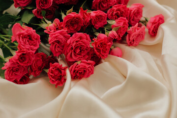Small red bush roses on a white background with a place for text.