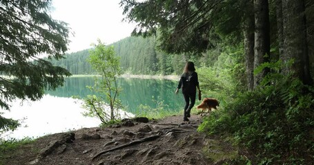 hiker with dogs come out of the forest to the lake shore. girl with pets walking outdoors. Travel through durmitor national park in montenegro.