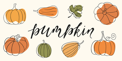 Set of colorful pumpkins. Doodle linear autumn elements. Autumn harvest. pumpkin handwritten lettering