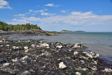 Fototapeta na wymiar Rocky shoreline with seaweed and island in the background. Ile aux lievres.