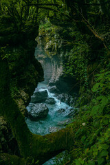 waterfall in the forest