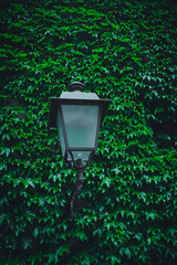 old street lamp