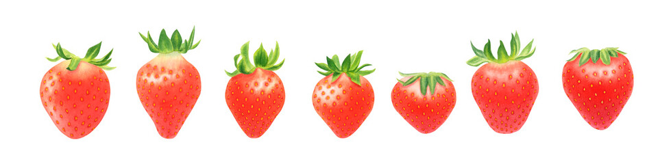 Set of strawberries isolated on transparent background. Watercolor hand drawn illustration. For advertising, packaging, menus, invitations, business cards, postcards, printing.