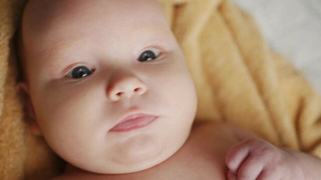 A Newborn Baby Wrapped In A Towel After Bathing. The Concept Of Childhood And Infant Care