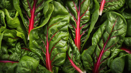 Top view full frame of whole ripe swiss chard placed together as background.