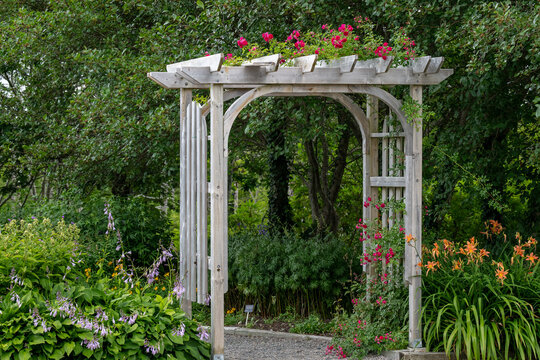 An outdoor wooden curved shaped archway or arbor surrounded by a lush green garden.  The park has birch trees, climbing red roses, orange lily flowers, and vibrant green shrubs in a botanical park. 