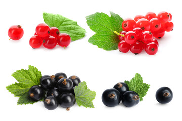 Set of black and red currants with green leaves isolated on white
