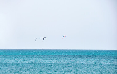 People sportsmen windsurfing and kite surfing in blue ocean water. Summer extreme exotic sport concept