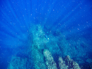 美しい青い海のドロップオフ、光芒とキビナゴの群れ。

日本国静岡県伊豆半島賀茂郡南伊豆町中木から渡し船で渡るヒリゾ浜にて。
2023年8月27日水中撮影。
