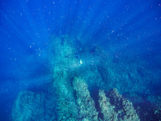美しい青い海のドロップオフ、光芒とキビナゴの群れ。

日本国静岡県伊豆半島賀茂郡南伊豆町中木から渡し船で渡るヒリゾ浜にて。
2023年8月27日水中撮影。
