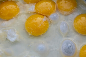 many Sunny-Side Up Fried Eggs Closer UP. High quality photo