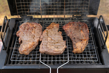 tasty steak on a bbq grill with smoking smoke and fire and glowing coals. High quality photo