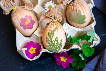 Preparing Easter eggs before painting with a pattern of fresh herbs, flowers