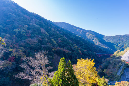 長陽大橋展望所から観える絶景風景
Spectacular scenery seen from the Choyo Ohashi Observation Deck
(阿蘇長陽大橋（あそちょうようおおはし）は、熊本県阿蘇郡南阿蘇村に所在し黒川に架かる、村道栃木-立野線を通す全長276.0メートルの橋である。)
日本（秋）2022年撮影
九州・熊本県南阿蘇村
(阿蘇長陽大橋)