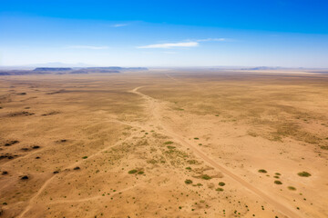 Untouched Desert Oasis: Majestic Flora & Fauna Thriving in Vibrant Landscape under Clear Blue Sky. A Serene Panoramic Adventure of Tranquility & Beauty.