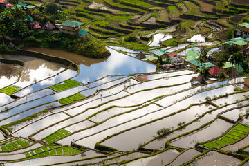 Batad Rice terraces, Banaue, Ifugao, Philippines.