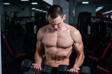 Fototapeta premium Shirtless man doing bicep exercises with dumbbells in the gym. 