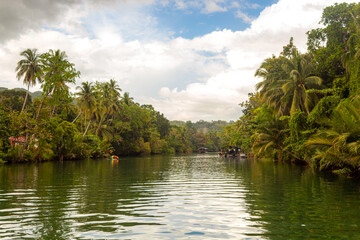 Fototapeta na wymiar Tropical river with palm trees on both shores, Loboc river, Bohol, Philippines
