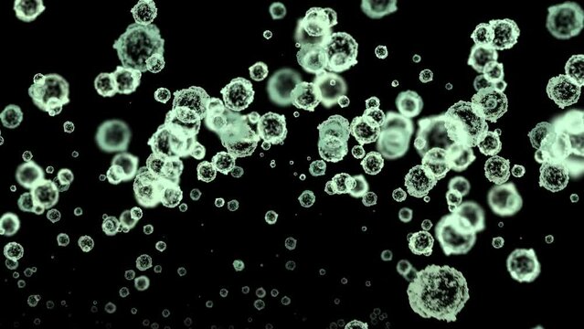 Microbiological elements like virus or bacteria or spores floating, 4k 24p with alpha channel for transparent background