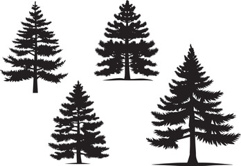 Pine tree vector silhouette illustration