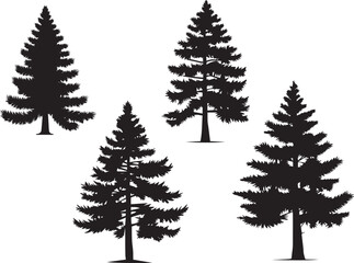 Pine tree vector silhouette illustration