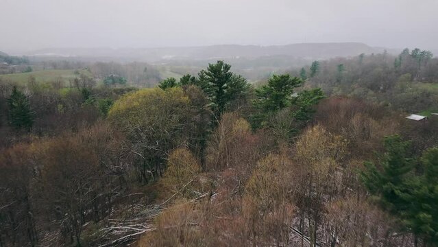 morning in the mountains