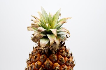 The fresh pineapple fruit or Ananas comosus which is a tropical fruit is a favorite of many people and photographed in close up on the isolated white background